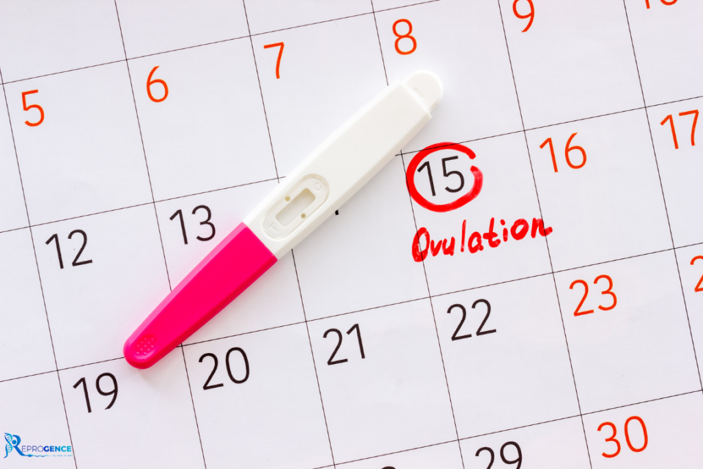 OVULATION; Signs and Symptoms